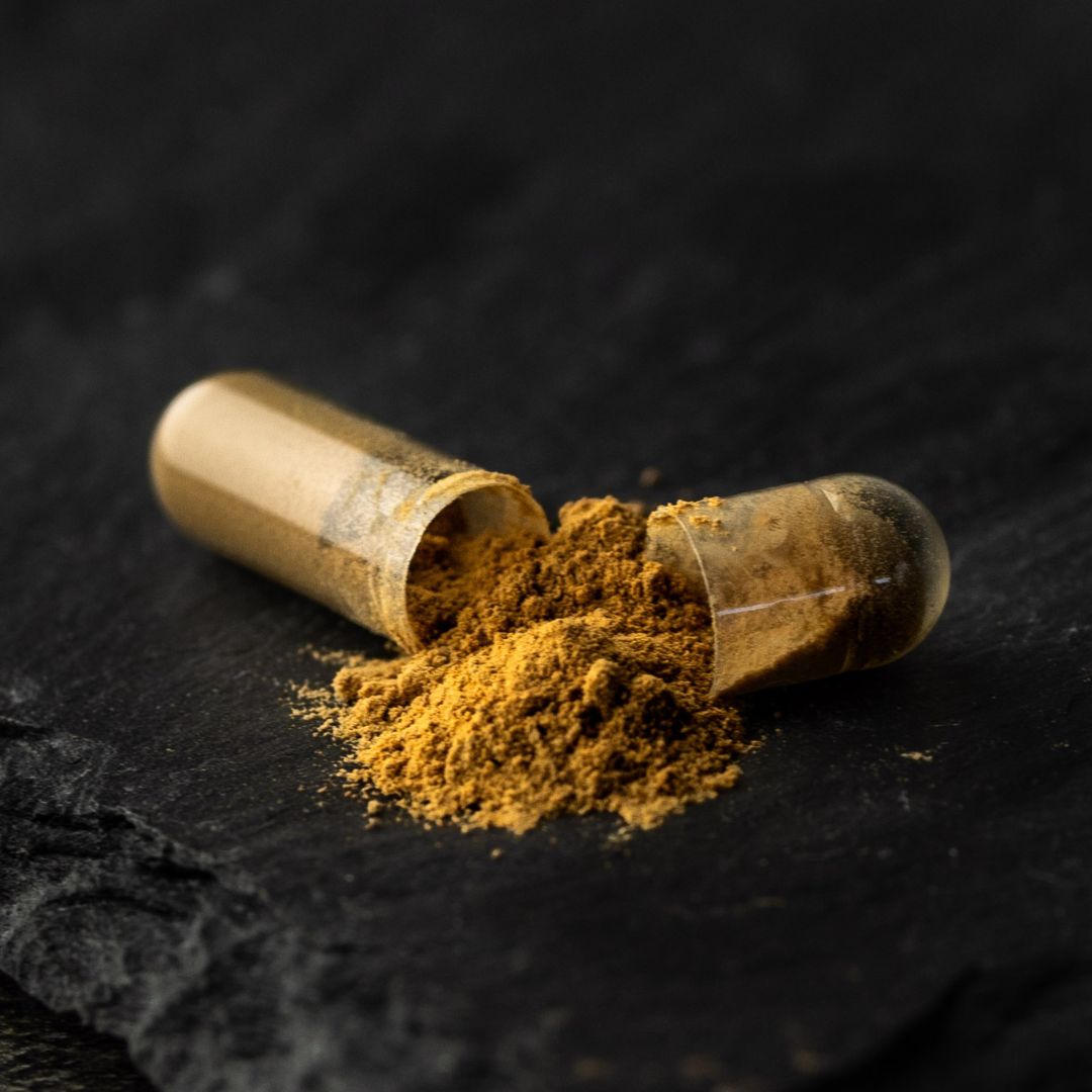 Cordyceps