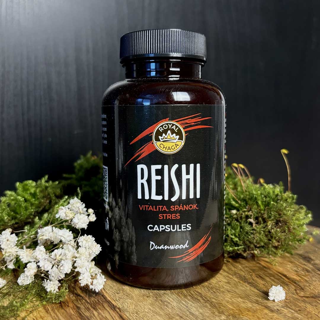 Reishi