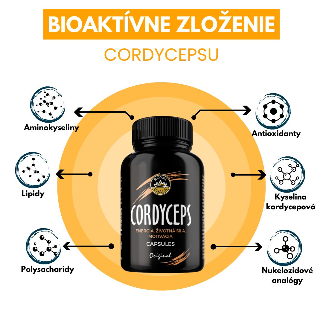 Cordyceps