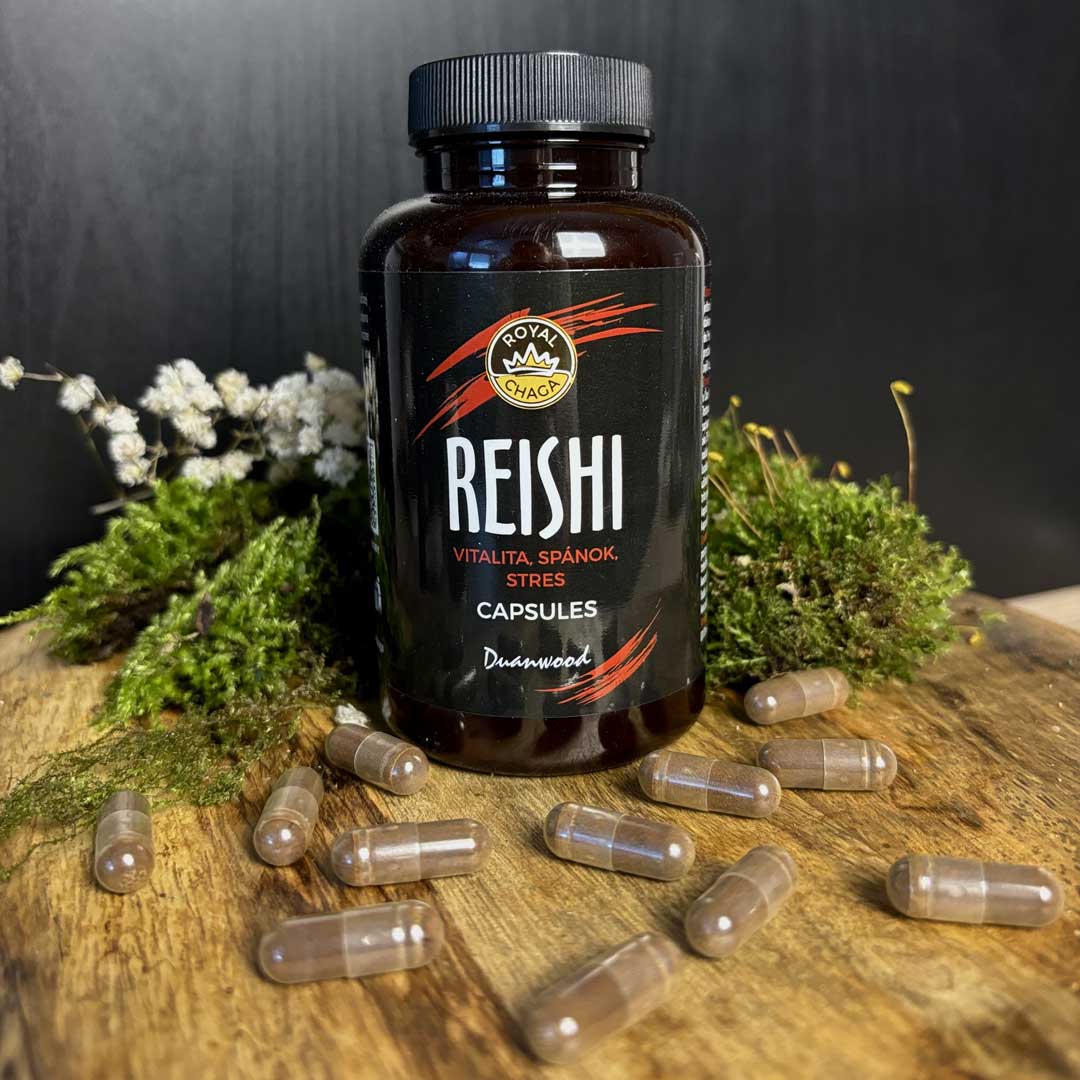 Reishi